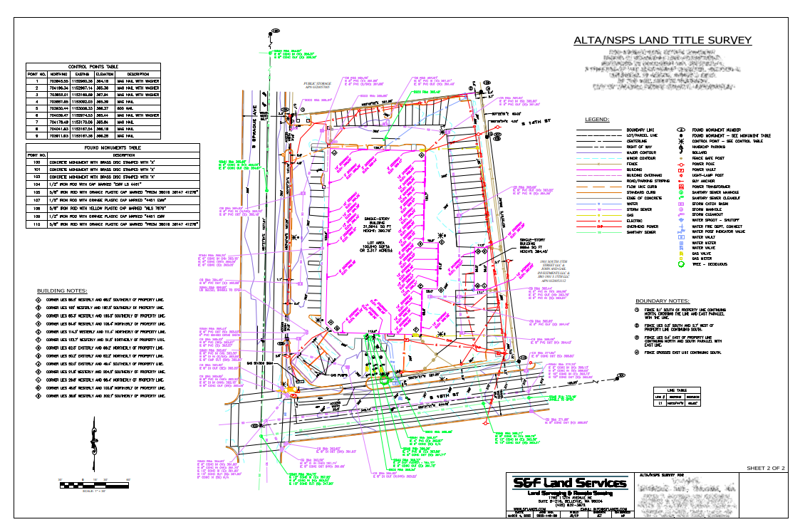 Professional Land Surveyor ALTA Survey